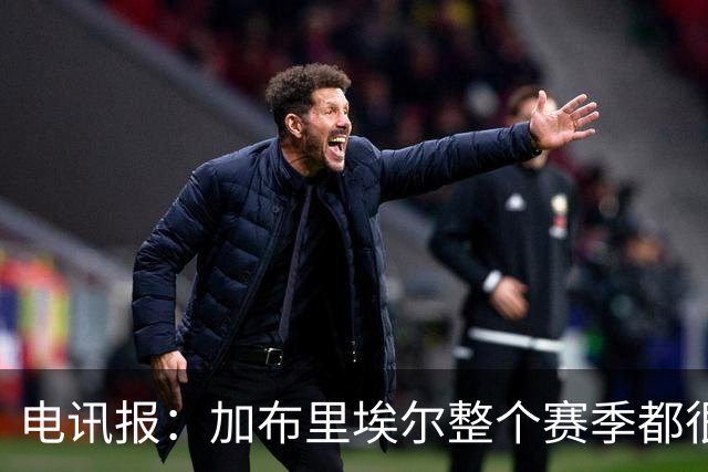 电讯报：加布里埃尔整个赛季都很强大，让他承受如此命运实在残酷