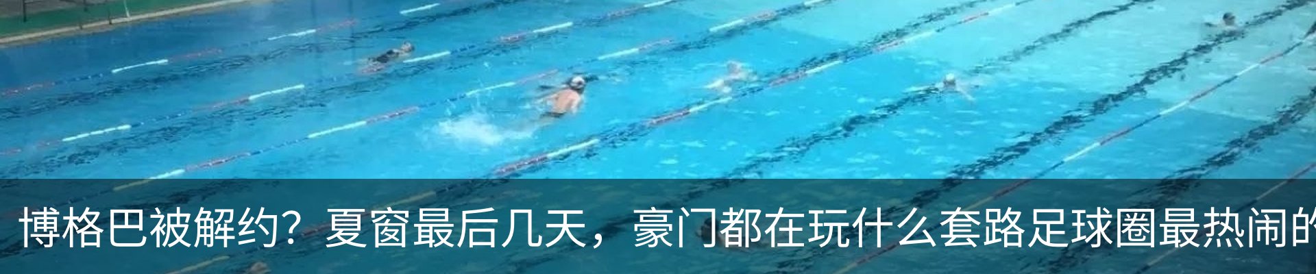 最新动态