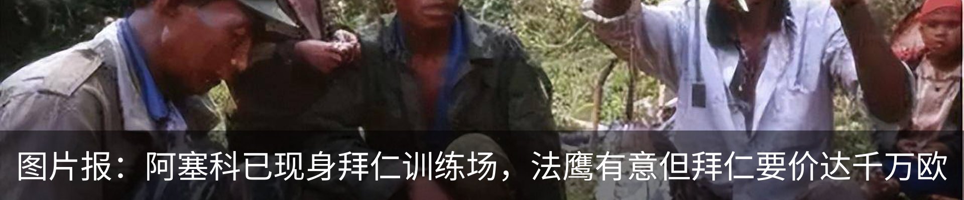 最新动态