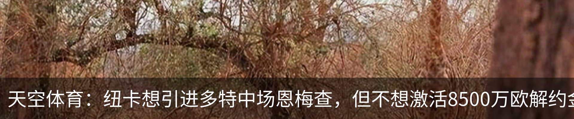 最新动态