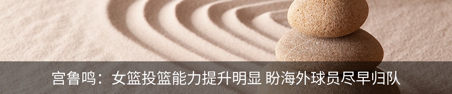 最新动态