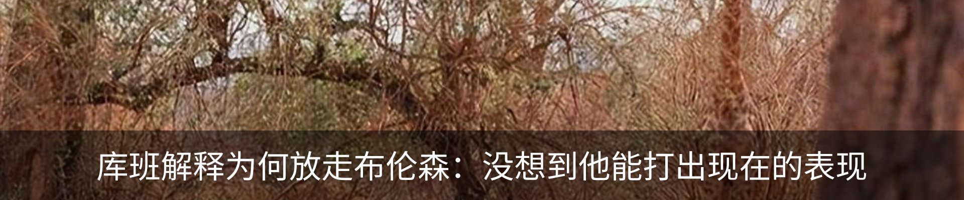 最新动态