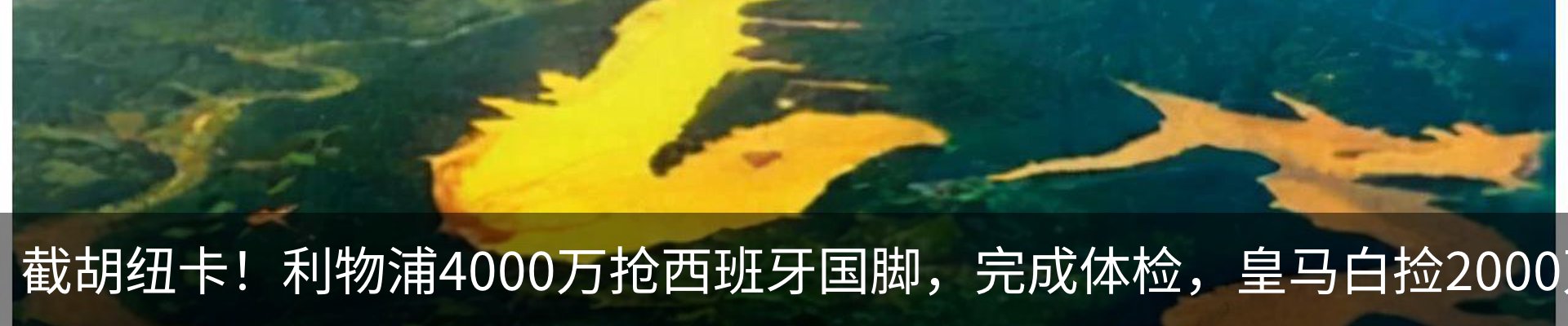 最新动态
