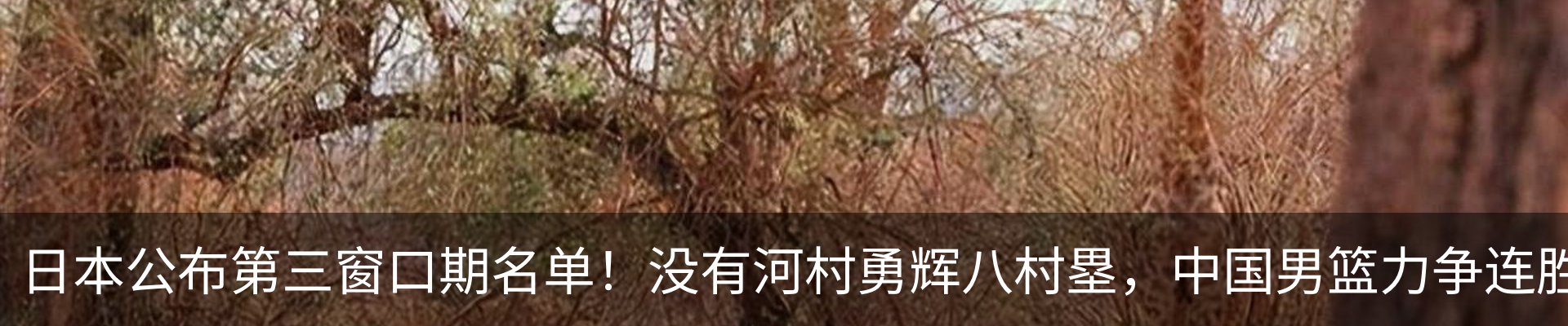 最新动态