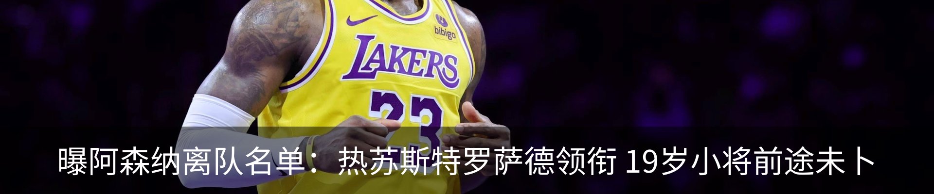 最新动态