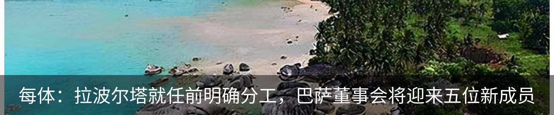 最新动态