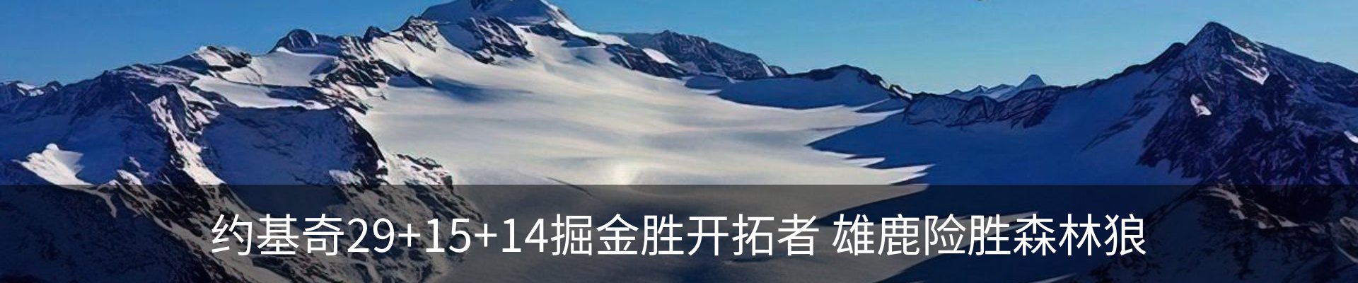 最新动态