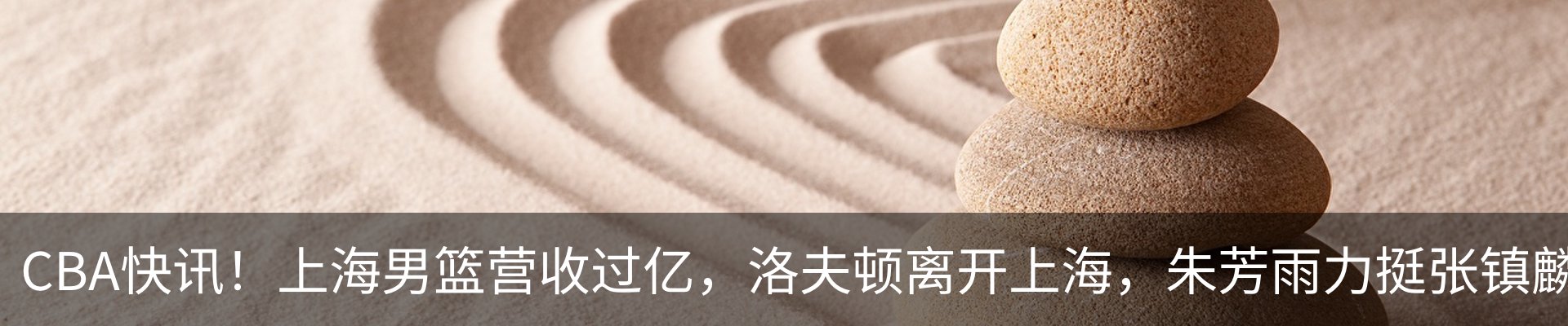 最新动态